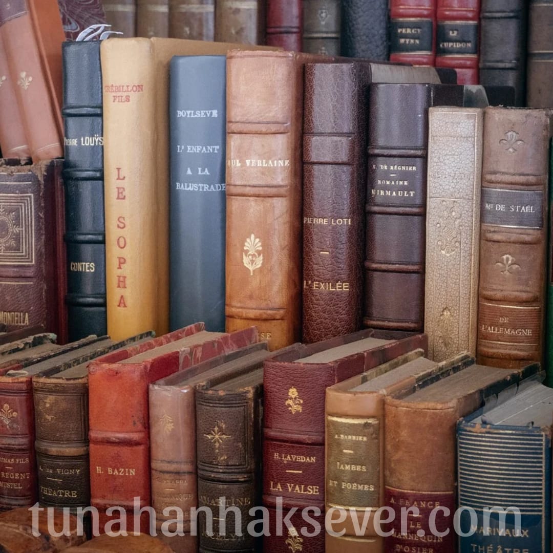 https://www.tunahanhaksever.com/